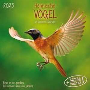 Heimische Vögel 2024