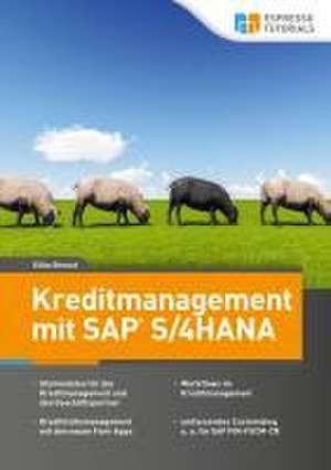 Kreditmanagement mit SAP S/4HANA de Breest Silke