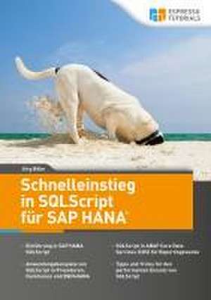 Schnelleinstieg in SQLScript für SAP HANA de Jörg Böke