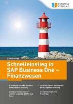 Schnelleinstieg in SAP Business One - Finanzwesen de Carmen Serpe