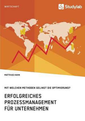 Erfolgreiches Prozessmanagement für Unternehmen. Mit welchen Methoden gelingt die Optimierung? de Matthias Hahn