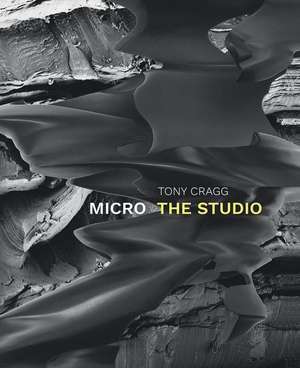 Tony Cragg. Micro - The Studio de Jon Wood