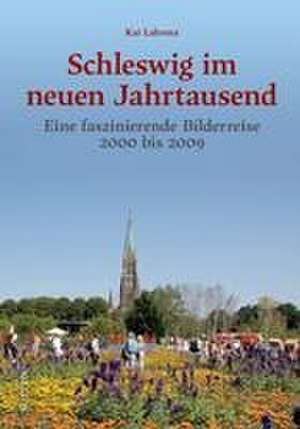 Schleswig im neuen Jahrtausend de Kai Labrenz