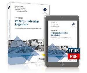 Handbuch Prüfung elektrischer Maschinen de Ferdinand Schlüter