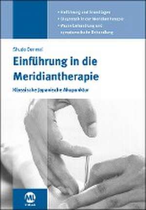 Einführung in die Meridiantherapie de Shudo Denmei