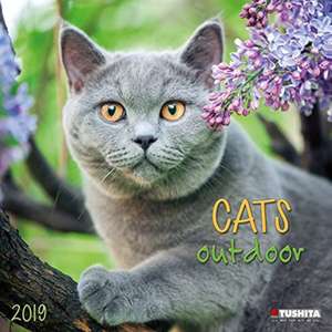 Cats Outdoors 2020