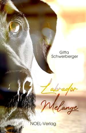 Labrador Melange de Gitta Schwerberger