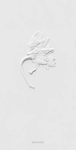 Ephemeral Field Journal: Climate and Love in Claude Monet's Garden de Sarah Schorr