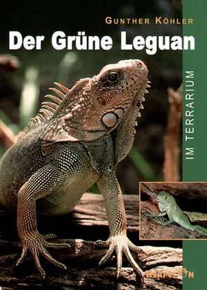 Der Grüne Leguan im Terrarium de Gunther Köhler