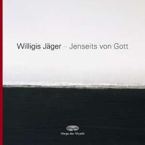 Jenseits von Gott de Willigis Jäger