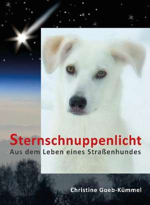 Sternschnuppenlicht de Christine Goeb-Kümmel