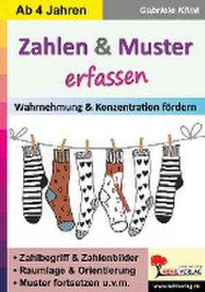 Zahlen & Muster erfassen de Gabriele Klink