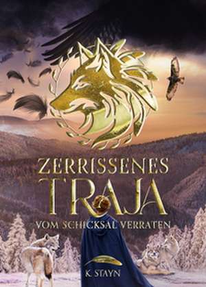 Zerrissenes Traja de K. Stayn