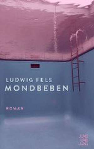 Mondbeben de Ludwig Fels