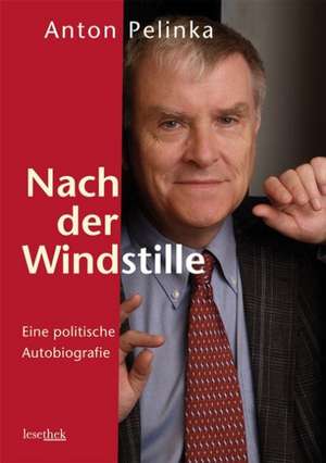 Nach der Windstille de Anton Pelinka