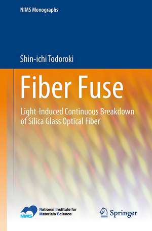 Fiber Fuse: Light-Induced Continuous Breakdown of Silica Glass Optical Fiber de Shin-ichi Todoroki