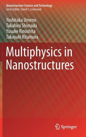 Multiphysics in Nanostructures de Yoshitaka Umeno