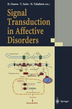 Signal Transduction in Affective Disorders de Hiroki Ozawa