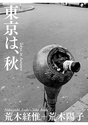 Tokyo, in Autumn de Nobuyoshi Araki