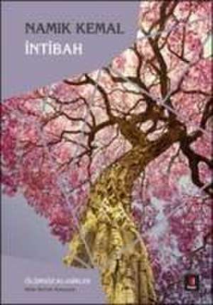 Intibah de Namik Kemal