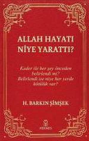 Allah Hayati Niye Yaratti de H. Barkin simsek