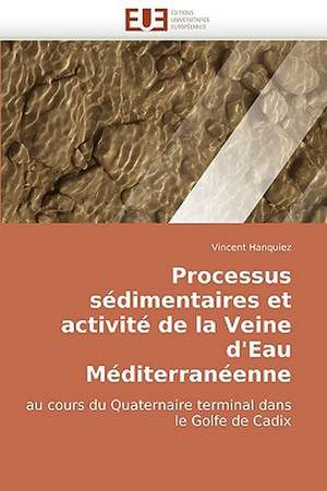 Processus Sedimentaires Et Activite de La Veine D''Eau Mediterraneenne de Vincent Hanquiez