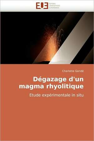 Degazage D'Un Magma Rhyolitique: Les Politiques de L'Eau En Equateur de Charlotte Gondé