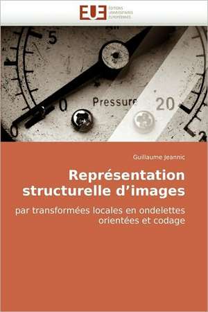 Représentation structurelle d'images de Guillaume Jeannic