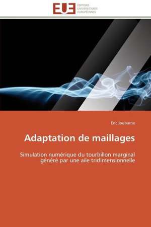 Adaptation de Maillages: Une Incitation Au Risque? de Eric Joubarne