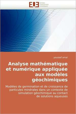 Analyse Mathematique Et Numerique Appliquee Aux Modeles Geochimiques de Youssef Amal