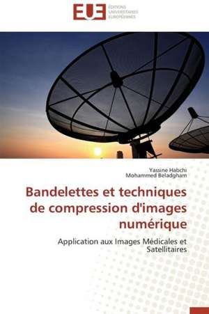 Bandelettes Et Techniques de Compression D'Images Numerique: de La Diffusion Aux Effets de Yassine Habchi