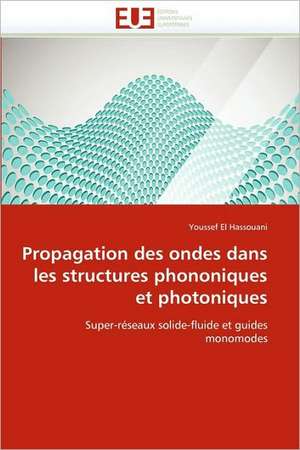 Propagation Des Ondes Dans Les Structures Phononiques Et Photoniques: Problematique de La Protection Juridique Du Patrimoine Culturel de Youssef El Hassouani