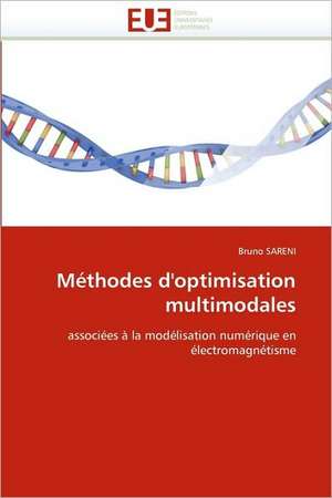 Methodes D'Optimisation Multimodales: Attractivites Et Effets de Bruno Sareni