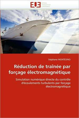 Reduction de Trainee Par Forcage Electromagnetique: Etancheite Des Toitures de Terre de Stéphane MONTESINO