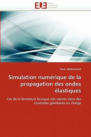 Simulation Numerique de La Propagation Des Ondes Elastiques: Independance Ou Correspondance de Fouzi Abdessemed