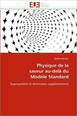 Physique de La Saveur Au-Dela Du Modele Standard: Etude Asymptotique Et Simulation de JULIEN WELZEL