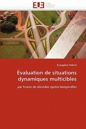 Évaluation de situations dynamiques multicibles de Evangeline Pollard