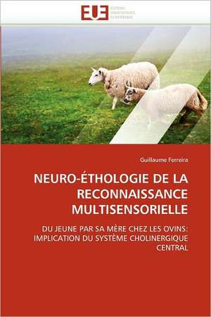 NEURO-ÉTHOLOGIE DE LA RECONNAISSANCE MULTISENSORIELLE de Guillaume Ferreira