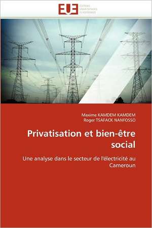 Privatisation et bien-être social de Maxime Kamdem Kamdem