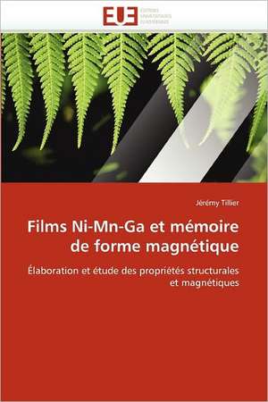 Films Ni-Mn-Ga et mémoire de forme magnétique de Jérémy Tillier