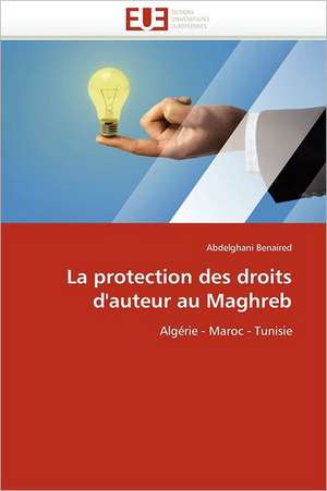 La protection des droits d''auteur au Maghreb de Abdelghani Benaired