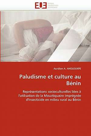 Paludisme Et Culture Au Benin: Application Aux Images Irm de Aurélien A. AHOLOUKPE