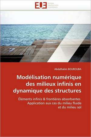 Modelisation Numerique Des Milieux Infinis En Dynamique Des Structures: Bilan Et Perspectives (2001-2008) de Abdelhalim BOUROUBA