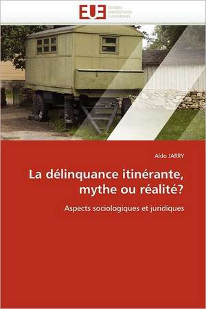 La Delinquance Itinerante, Mythe Ou Realite?: Quels Soins Et Quel Devenir de Aldo JARRY