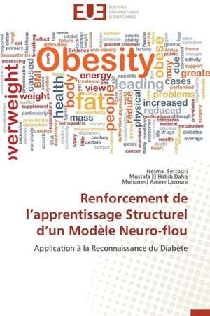 Renforcement de L'Apprentissage Structurel D'Un Modele Neuro-Flou: L''Exemple Du Village de Wodobere de Nesma SETTOUTI