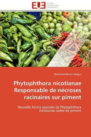 Phytophthora Nicotianae Responsable de Necroses Racinaires Sur Piment