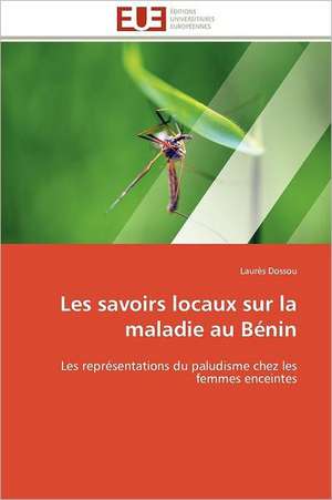 Les Savoirs Locaux Sur La Maladie Au Benin