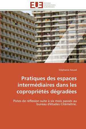 Pratiques Des Espaces Intermediaires Dans Les Coproprietes Degradees: Une Nouvelle Hanse de Stéphanie Aouad