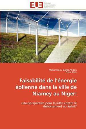 Faisabilite de L Energie Eolienne Dans La Ville de Niamey Au Niger