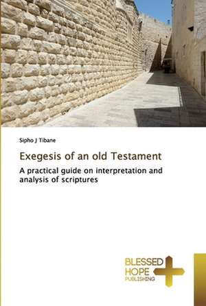 Exegesis of an old Testament de Sipho J Tibane